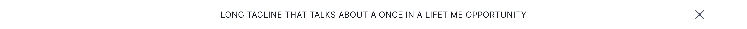 Banner 003