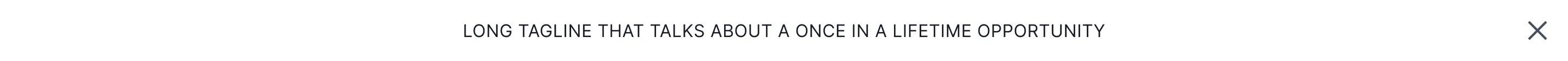 Banner 004