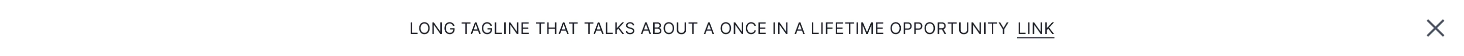 Banner 005