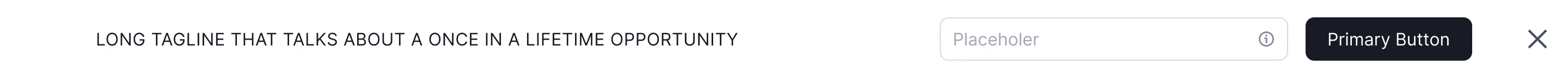 Banner 006