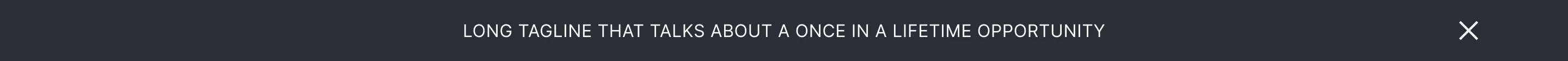 Banner 009