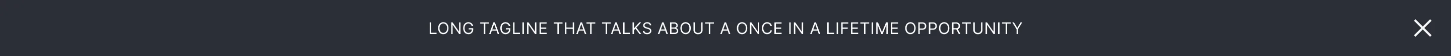 Banner 010