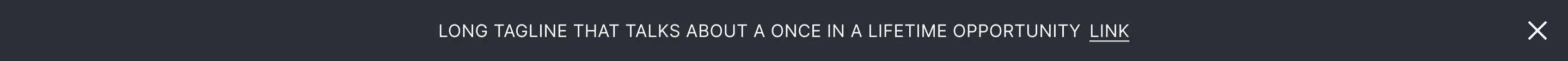 Banner 011