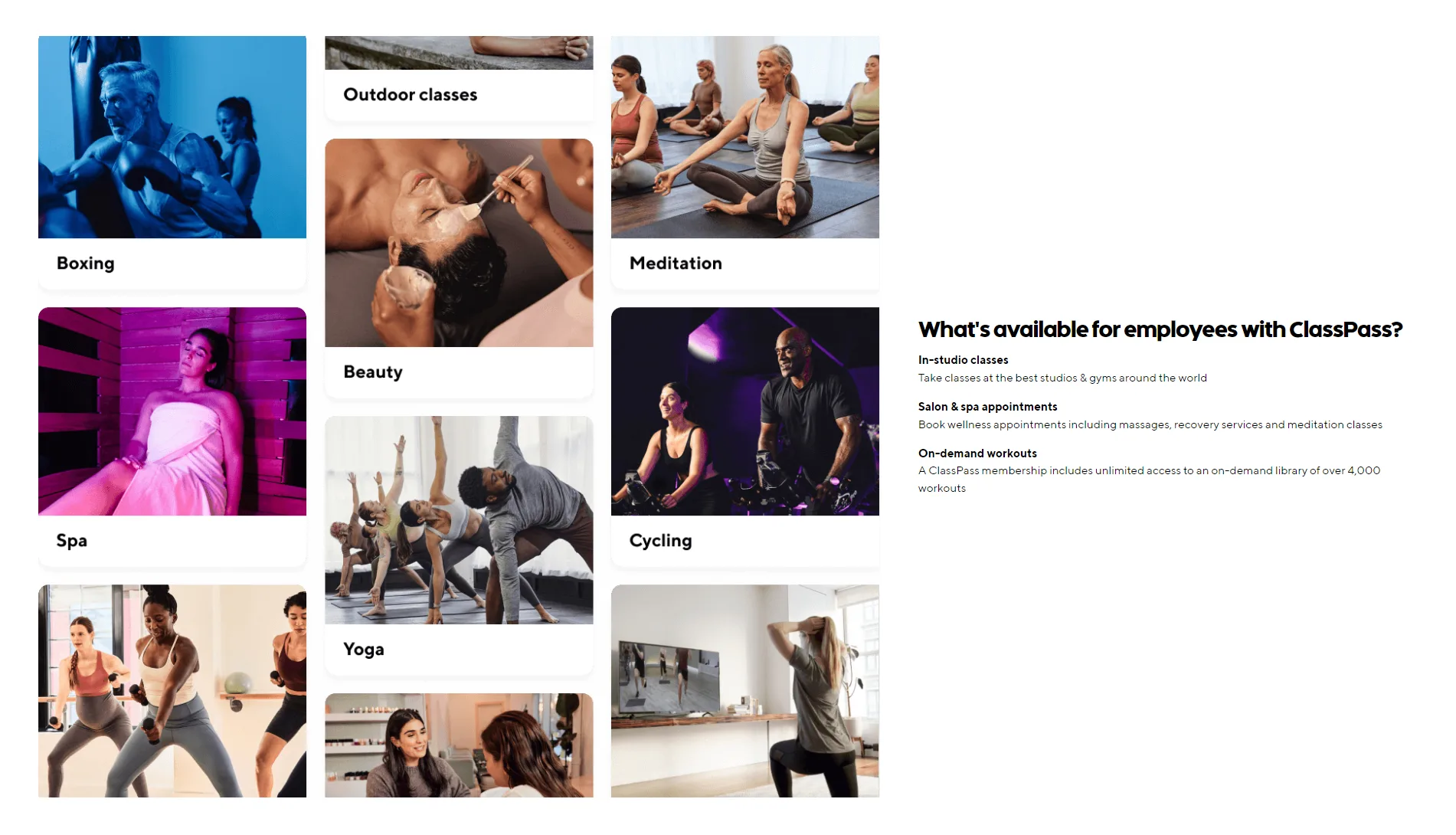 Feature Section