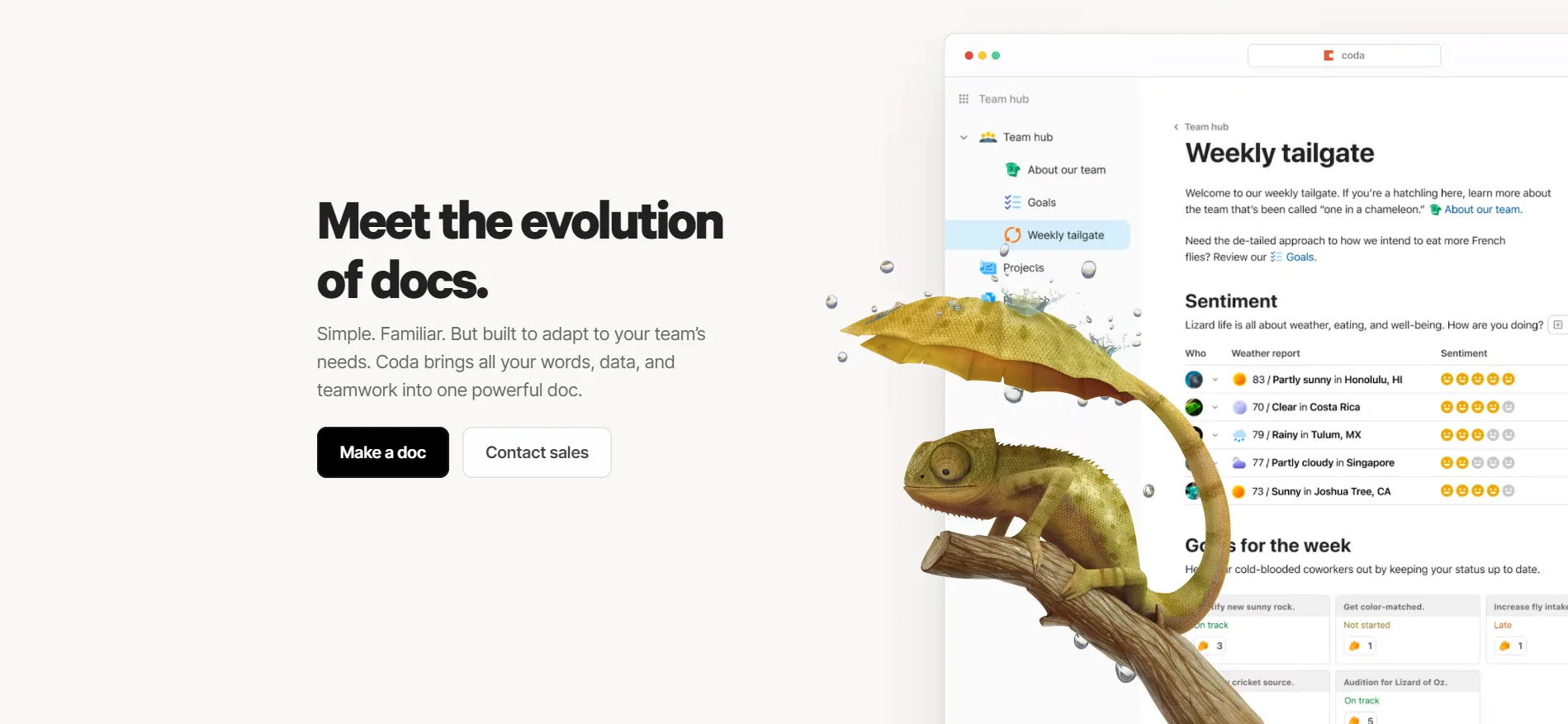 Feature Section