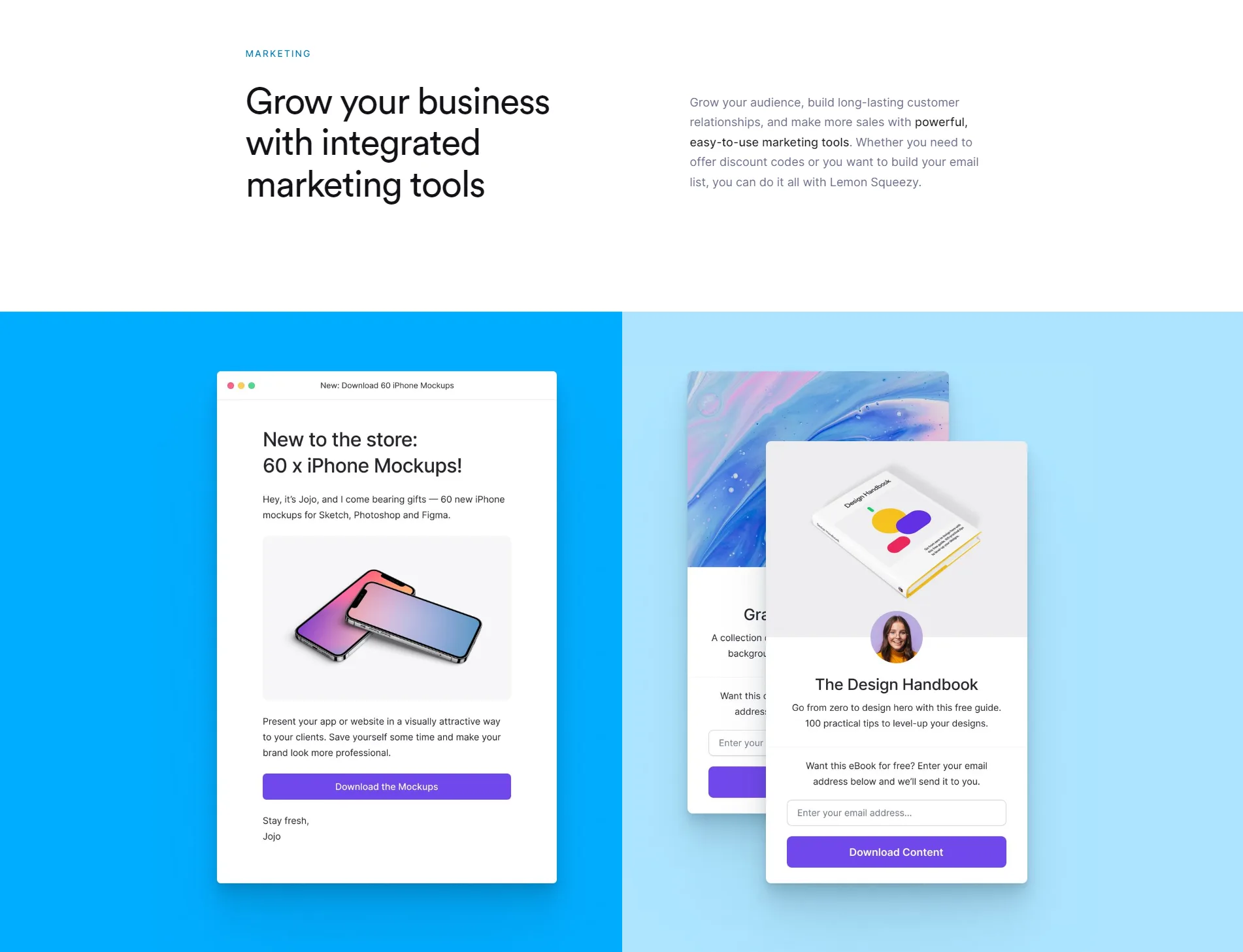 Feature Section