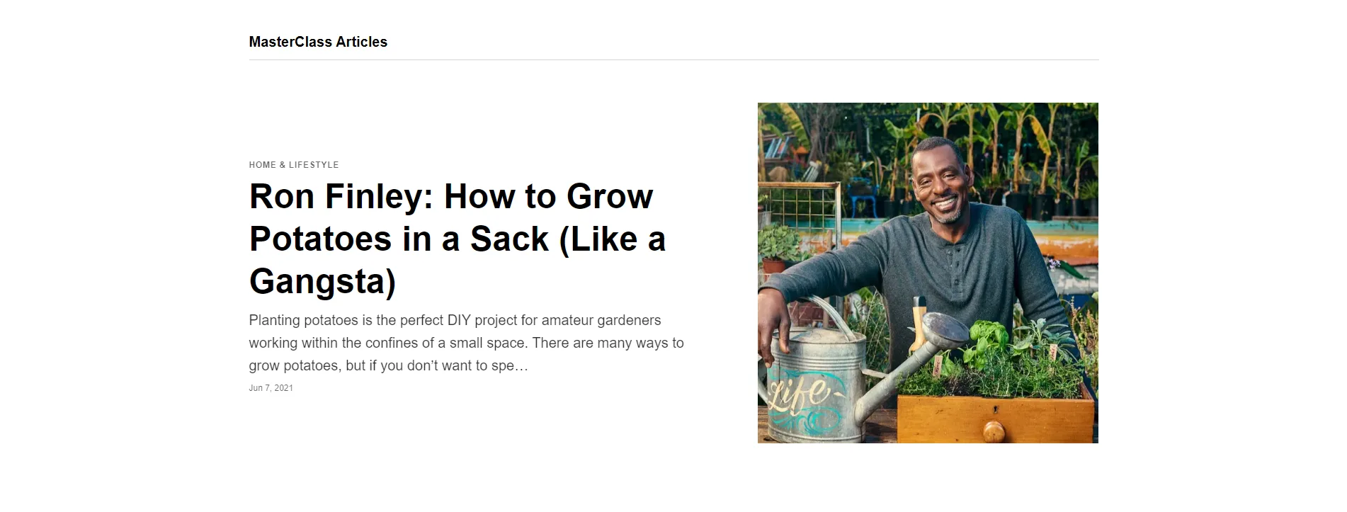 Feature Section