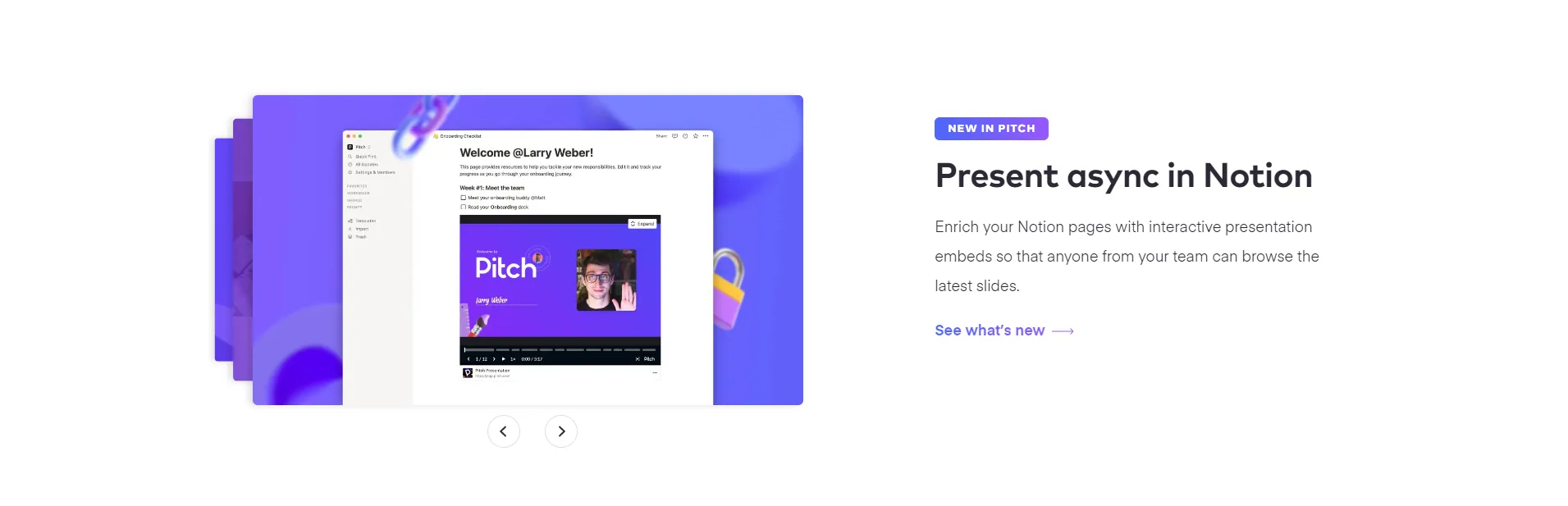 Feature Section