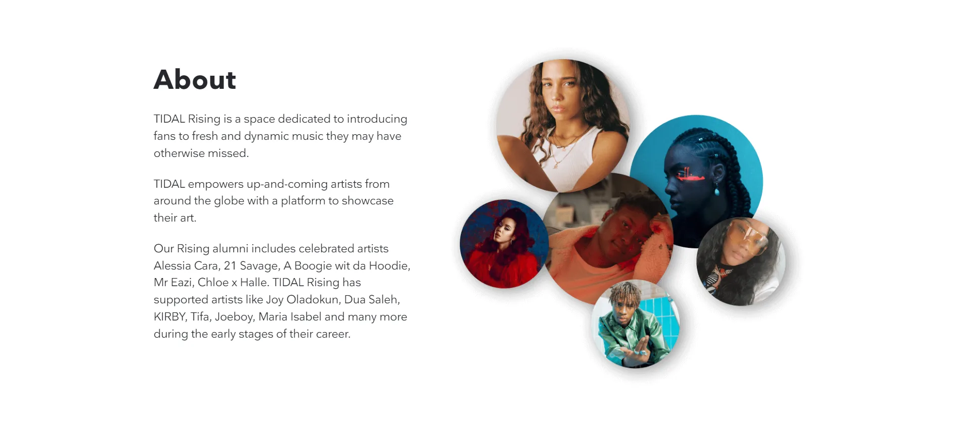 Feature Section
